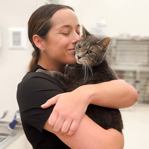 A woman in a black shirt affectionately holding and nuzzling a large gray cat in her arms, both indoors, presumably at a veterinary clinic or pet care center.