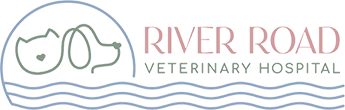 Logo of river road veterinary hospital featuring stylized, circular green emblem with pet silhouette, overlaid on blue water waves, with vertical pink and blue stripes in the background.